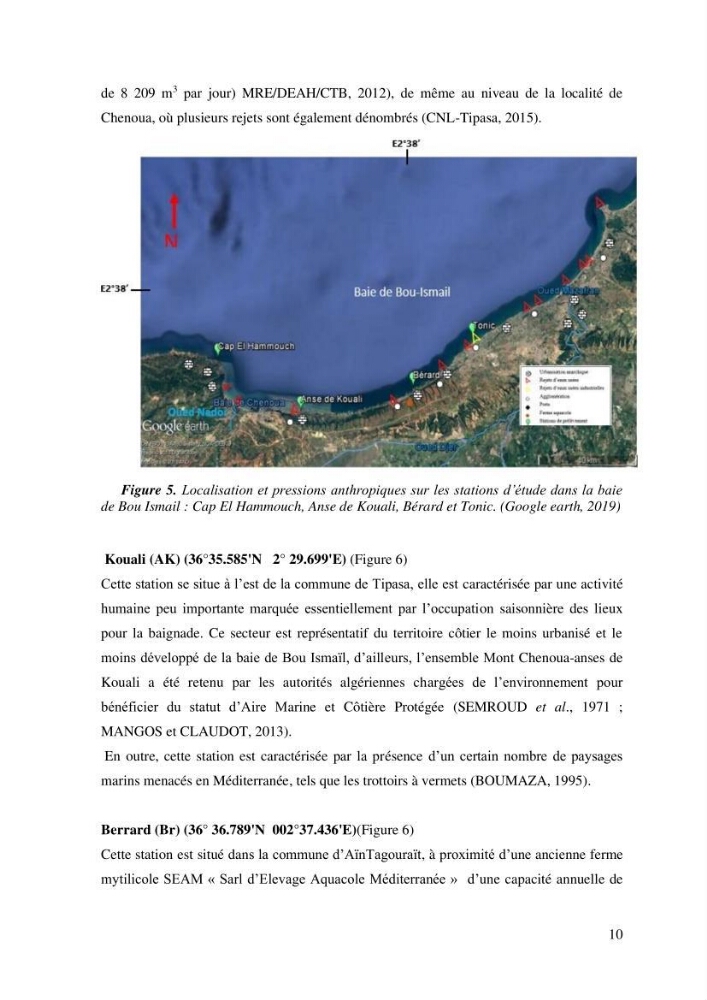 Variabilité de l\'abondance des cellules à TANIN chez Posidonia oceanica (Linnaeus) Delile 1813