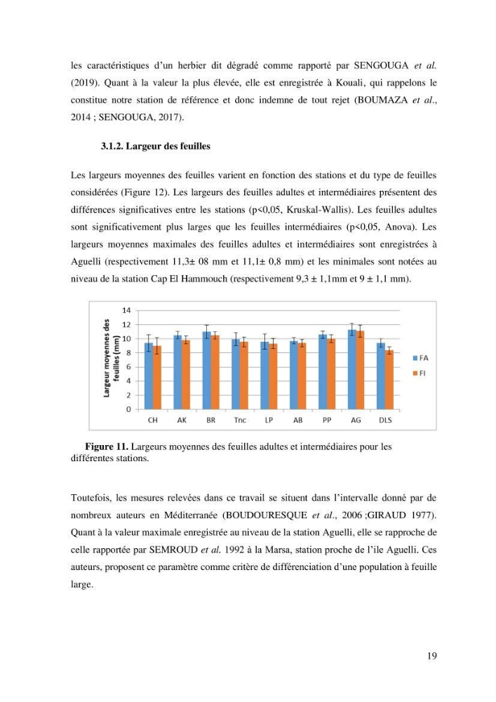 Variabilité de l\'abondance des cellules à TANIN chez Posidonia oceanica (Linnaeus) Delile 1813