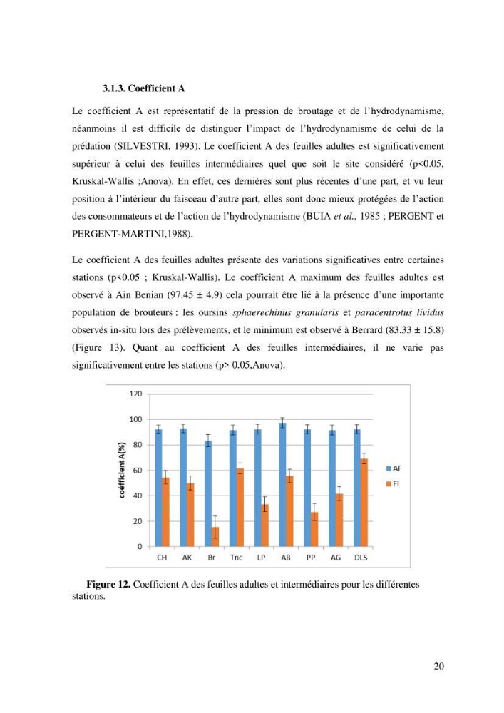 Variabilité de l\'abondance des cellules à TANIN chez Posidonia oceanica (Linnaeus) Delile 1813