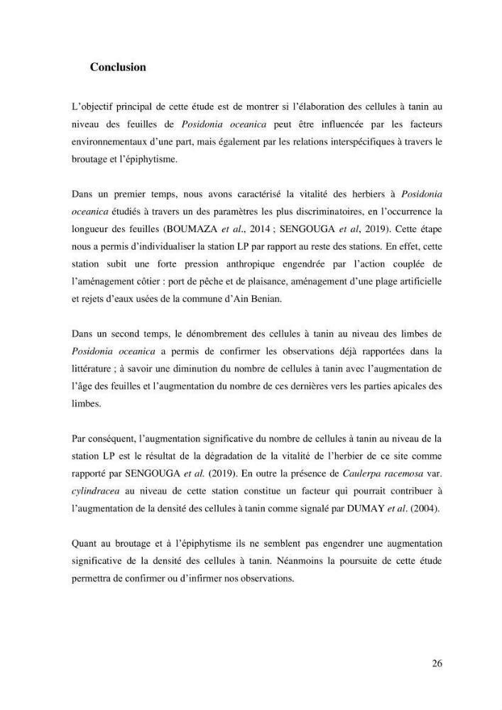 Variabilité de l\'abondance des cellules à TANIN chez Posidonia oceanica (Linnaeus) Delile 1813