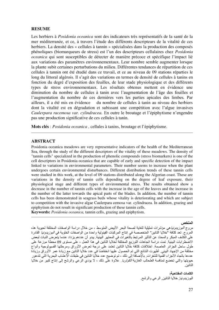 Variabilité de l\'abondance des cellules à TANIN chez Posidonia oceanica (Linnaeus) Delile 1813
