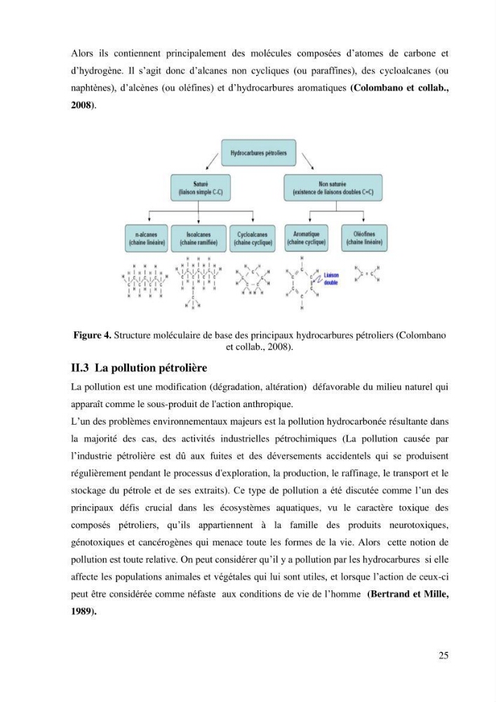 Isolement et caractérisation des bactéries dégradants les différentes fractions du pétrole: cas d\'études : port de la Madrague, Ain Benian