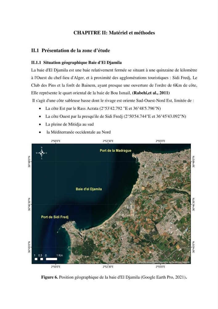 Isolement et caractérisation des bactéries dégradants les différentes fractions du pétrole: cas d\'études : port de la Madrague, Ain Benian