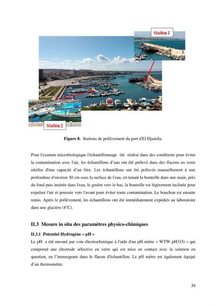 Isolement et caractérisation des bactéries dégradants les différentes fractions du pétrole: cas d\'études : port de la Madrague, Ain Benian