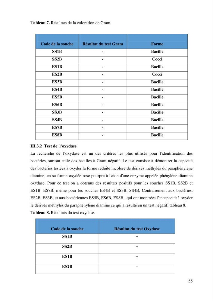 Isolement et caractérisation des bactéries dégradants les différentes fractions du pétrole: cas d\'études : port de la Madrague, Ain Benian