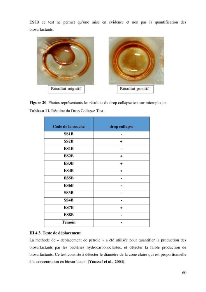 Isolement et caractérisation des bactéries dégradants les différentes fractions du pétrole: cas d\'études : port de la Madrague, Ain Benian