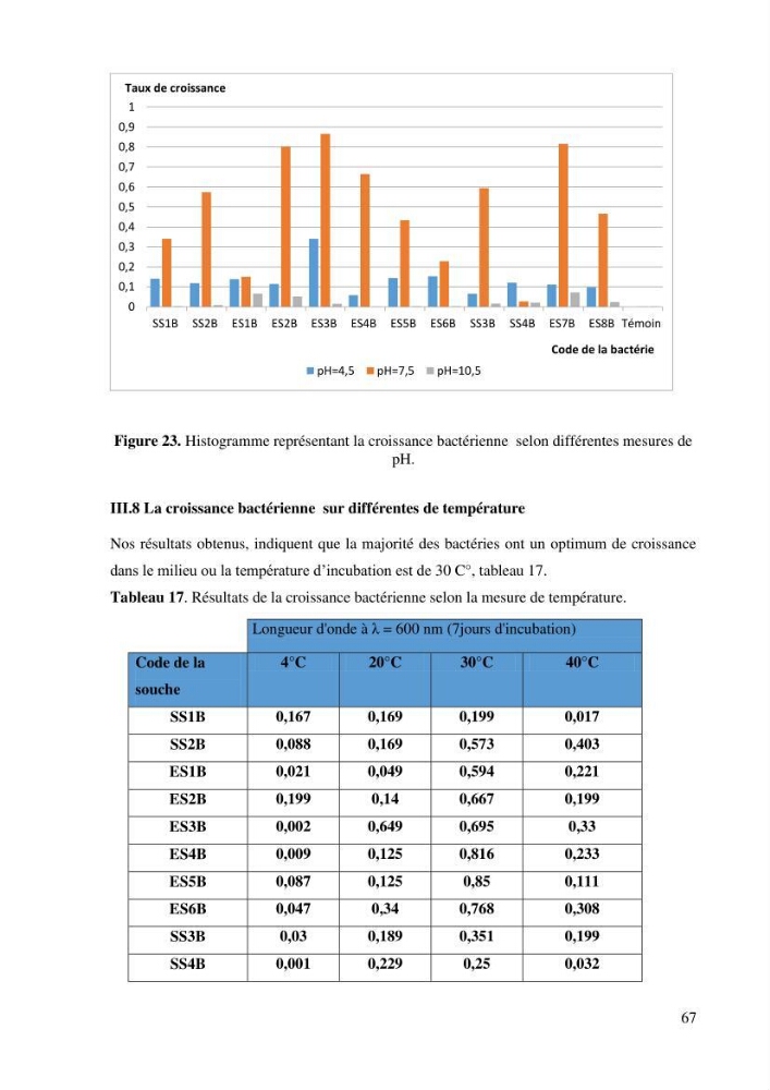 Isolement et caractérisation des bactéries dégradants les différentes fractions du pétrole: cas d\'études : port de la Madrague, Ain Benian