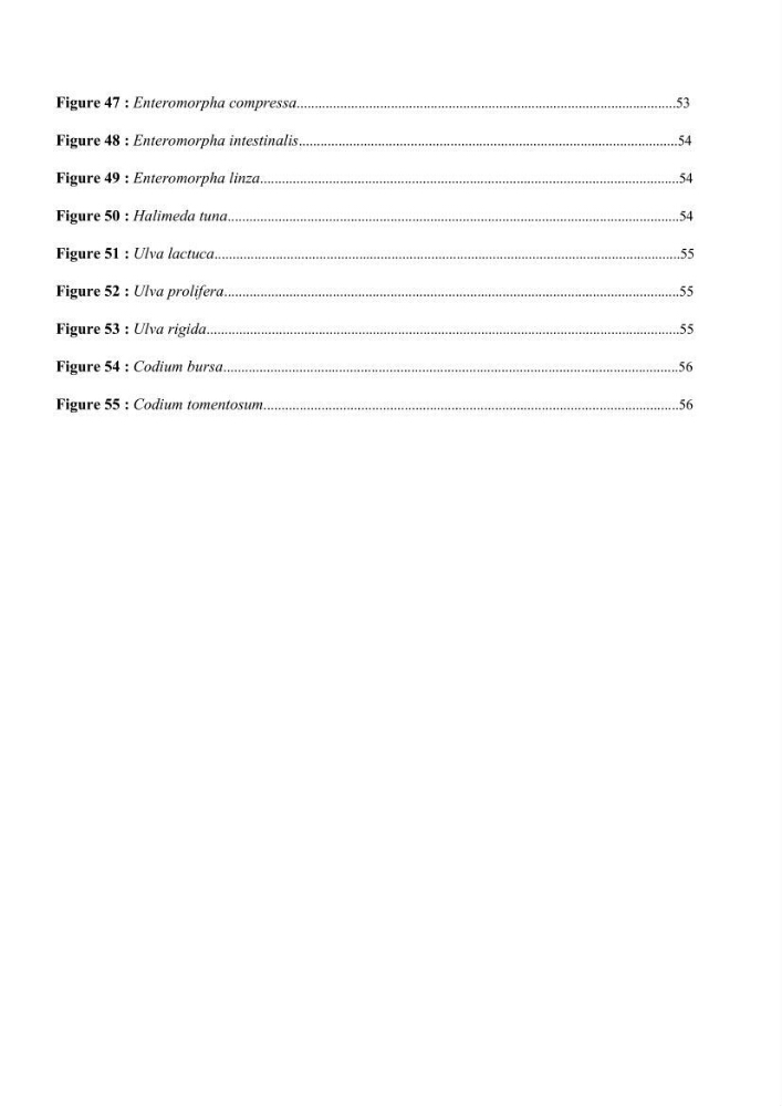 Actualisation de la taxonomie et de l\'inventaire des chlorobiontes des côtes Algériennes et mise en évidence des espèces aquacole