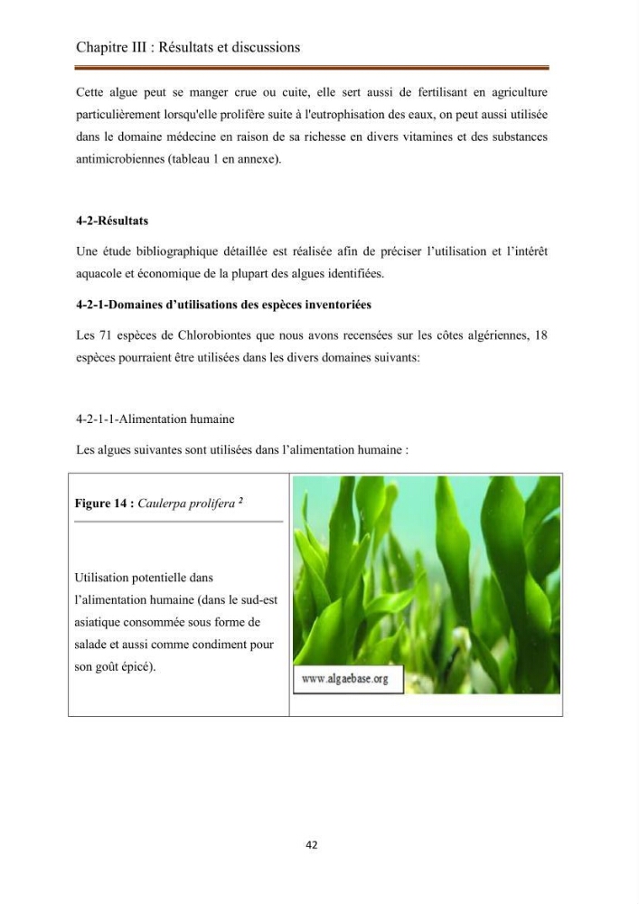 Actualisation de la taxonomie et de l\'inventaire des chlorobiontes des côtes Algériennes et mise en évidence des espèces aquacole