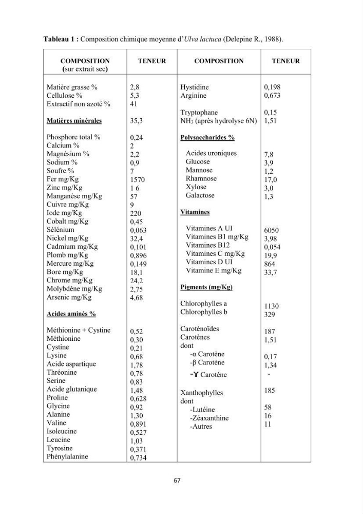 Actualisation de la taxonomie et de l\'inventaire des chlorobiontes des côtes Algériennes et mise en évidence des espèces aquacole