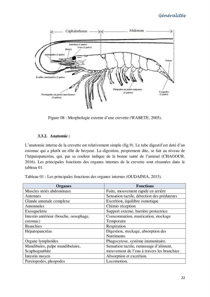 Caracterisation de l\'elevage de la crevette Litopenaeus vannamei ( boone,1931) Ferme Pilote la marsa (Skikda):