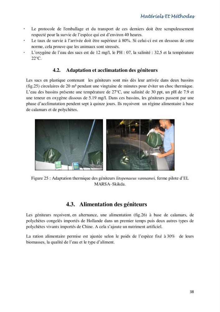 Caracterisation de l\'elevage de la crevette Litopenaeus vannamei ( boone,1931) Ferme Pilote la marsa (Skikda):