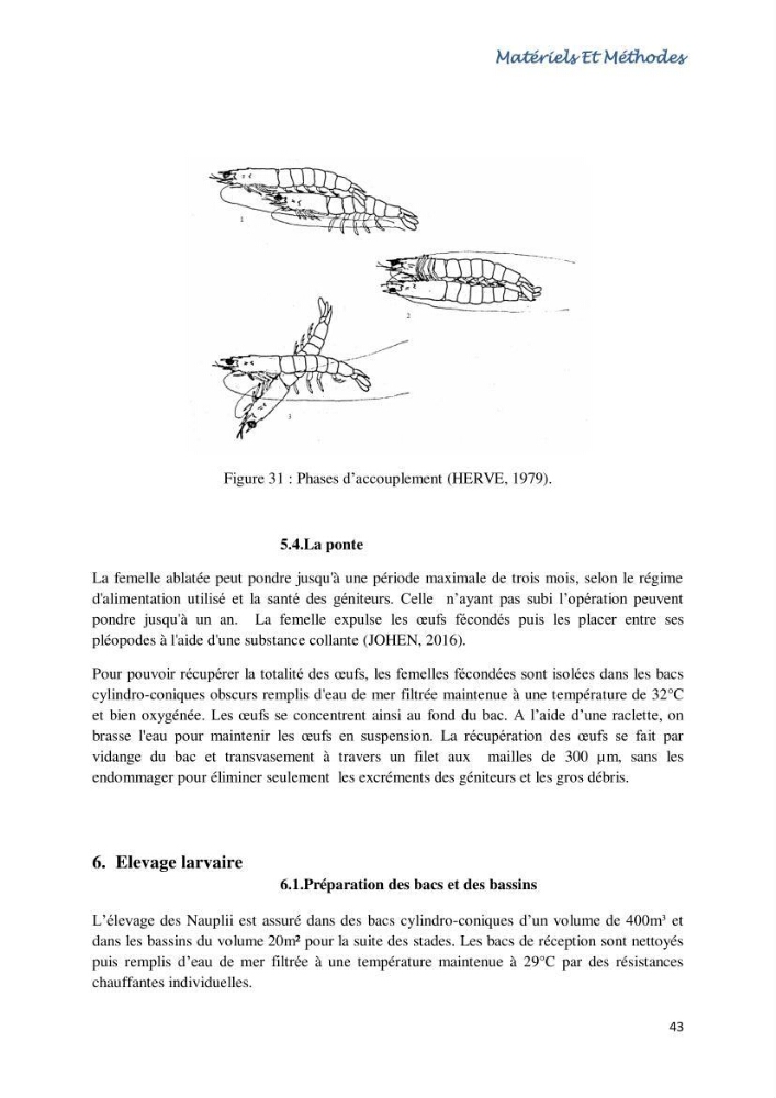 Caracterisation de l\'elevage de la crevette Litopenaeus vannamei ( boone,1931) Ferme Pilote la marsa (Skikda):