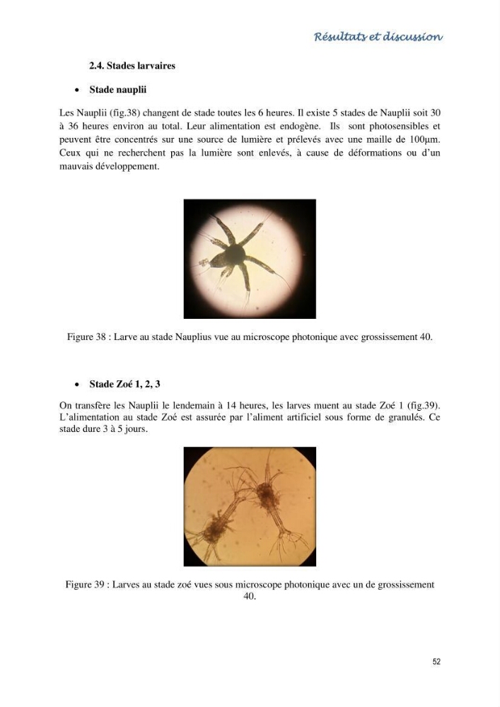 Caracterisation de l\'elevage de la crevette Litopenaeus vannamei ( boone,1931) Ferme Pilote la marsa (Skikda):