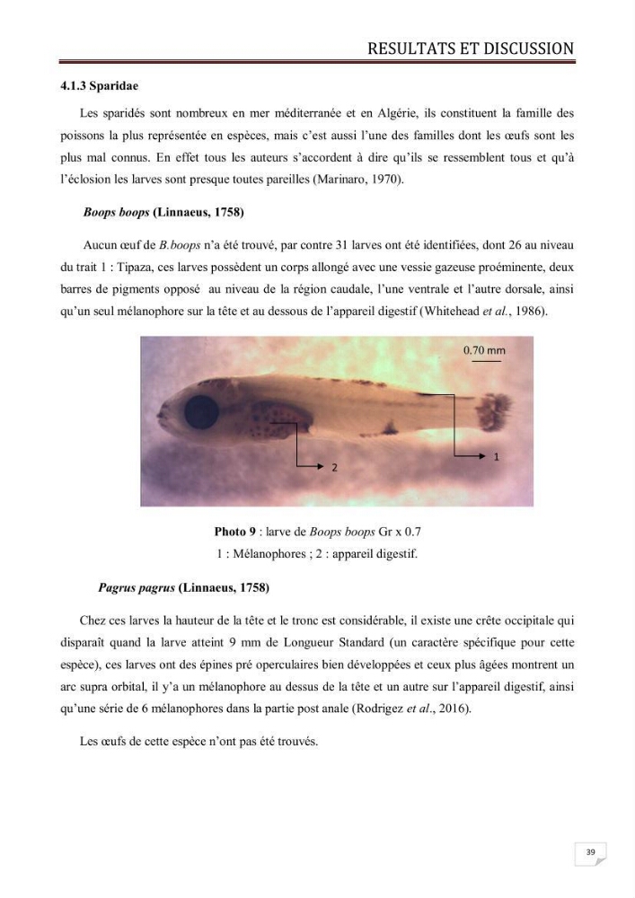 Contribution à l\'étude des oeufs et des larves des poissons téléostéens au niveau de la zone centre algérienne:
