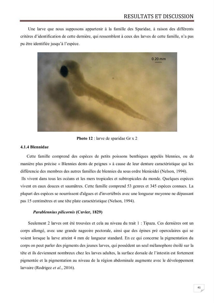 Contribution à l\'étude des oeufs et des larves des poissons téléostéens au niveau de la zone centre algérienne: