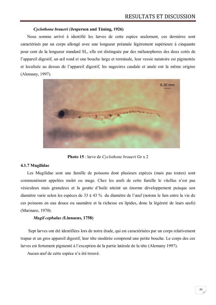 Contribution à l\'étude des oeufs et des larves des poissons téléostéens au niveau de la zone centre algérienne: