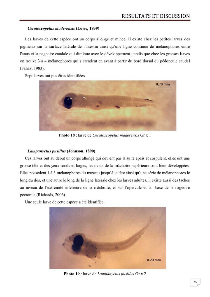 Contribution à l\'étude des oeufs et des larves des poissons téléostéens au niveau de la zone centre algérienne: