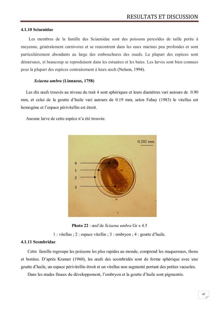 Contribution à l\'étude des oeufs et des larves des poissons téléostéens au niveau de la zone centre algérienne: