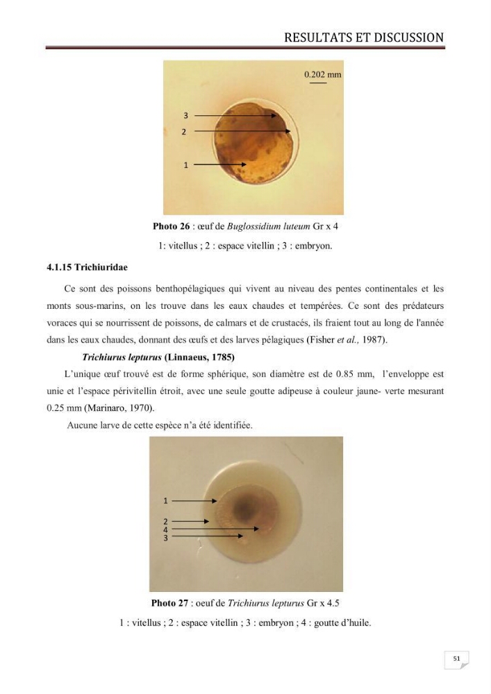 Contribution à l\'étude des oeufs et des larves des poissons téléostéens au niveau de la zone centre algérienne: