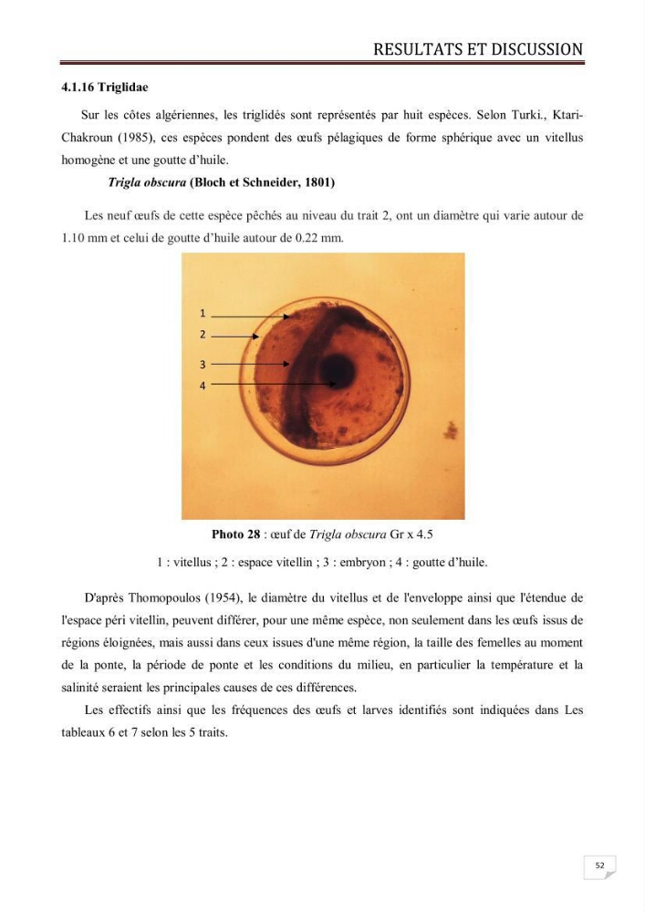 Contribution à l\'étude des oeufs et des larves des poissons téléostéens au niveau de la zone centre algérienne: