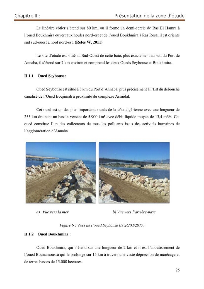 Contribution a la connaissance de la morphologie et de la dynamique sedimentaire du littoral Est de l\'Algerie