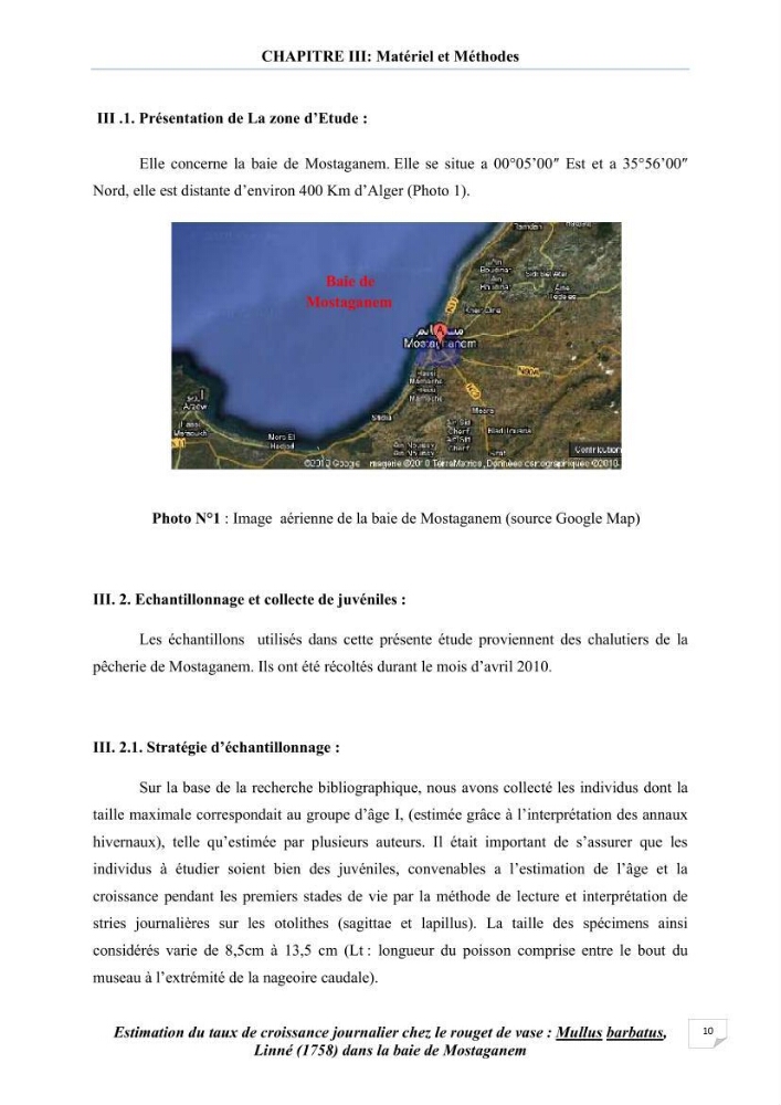 Estimation du taux de croissanve journalier chez le rouget de vase: mullus barbatus, linné (1758) dans la baie de Mostaganem