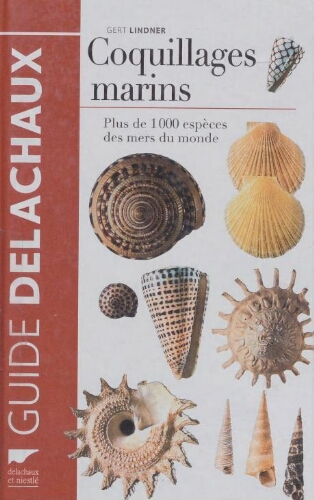 Coquillages marins: plus de 1000 espèces des mers Coquillages marins: plus de 1000 espèces des mers