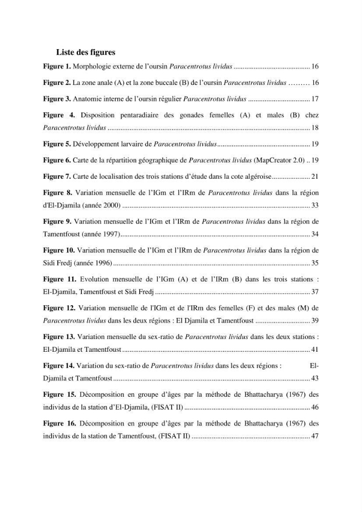 Dynamique,biologie et écologie de l\'oursin comestible Paracentrotus lividus (Lamarc,1816) de la côte algéroise