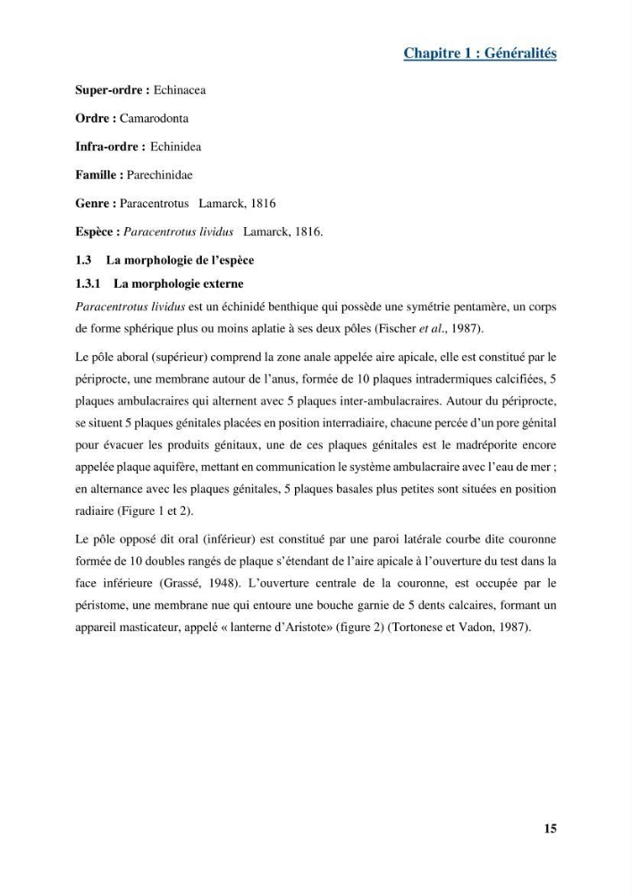 Dynamique,biologie et écologie de l\'oursin comestible Paracentrotus lividus (Lamarc,1816) de la côte algéroise
