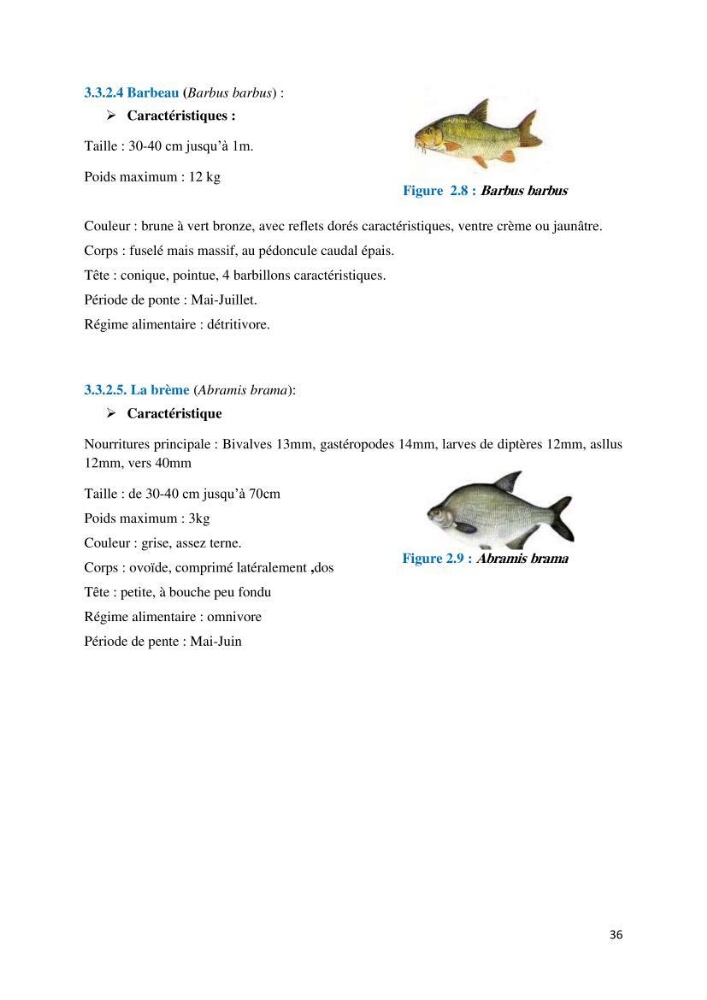 Etude des paramètres physico-chimiques des eaux du barrage de beni Haroun (Wilaya de Mila) et proposition de gestion des plans d\'eau.: