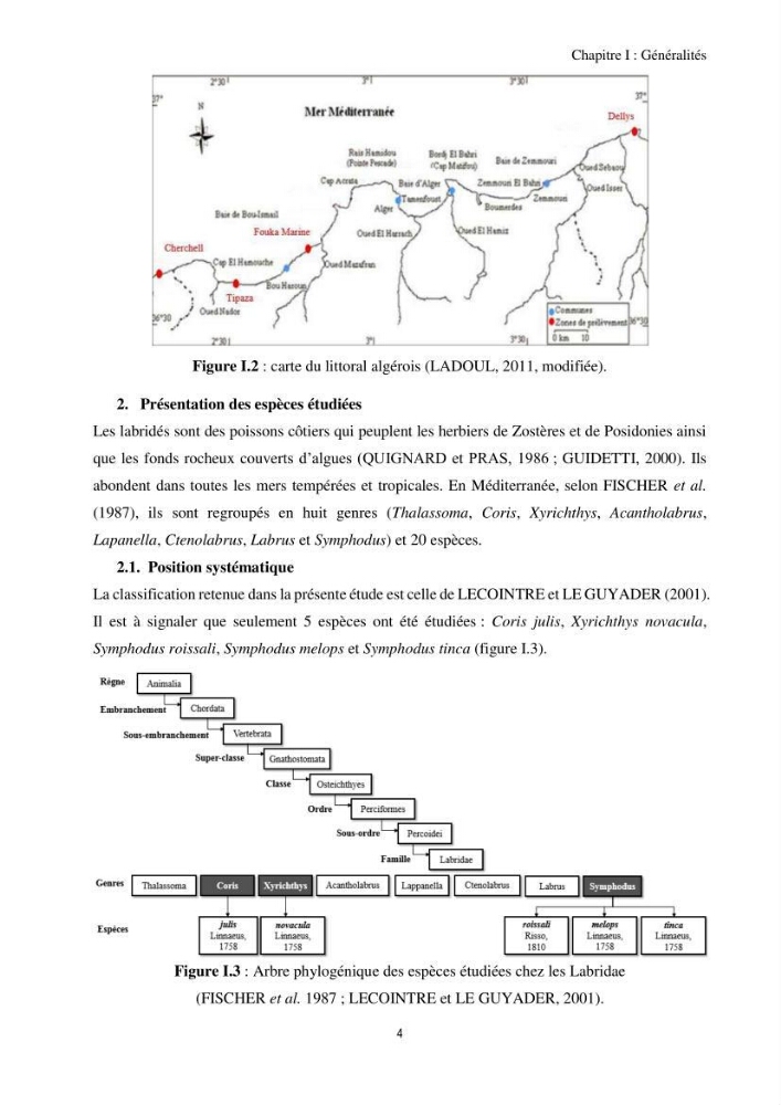 Contribution à l’étude comparative des stratégies alimentaires de cinq espèces de Labridae (Téléostéens, Perciformes) du bassin algérien.