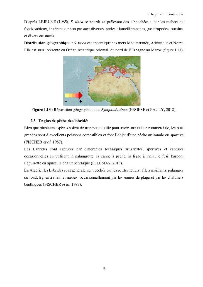 Contribution à l’étude comparative des stratégies alimentaires de cinq espèces de Labridae (Téléostéens, Perciformes) du bassin algérien.