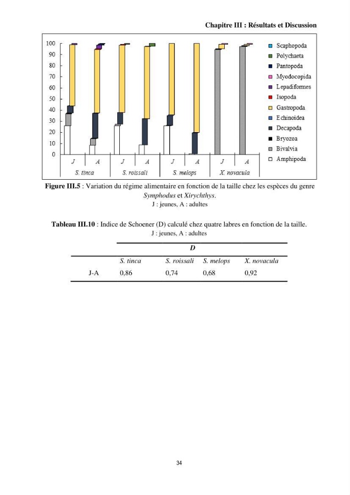 Contribution à l’étude comparative des stratégies alimentaires de cinq espèces de Labridae (Téléostéens, Perciformes) du bassin algérien.