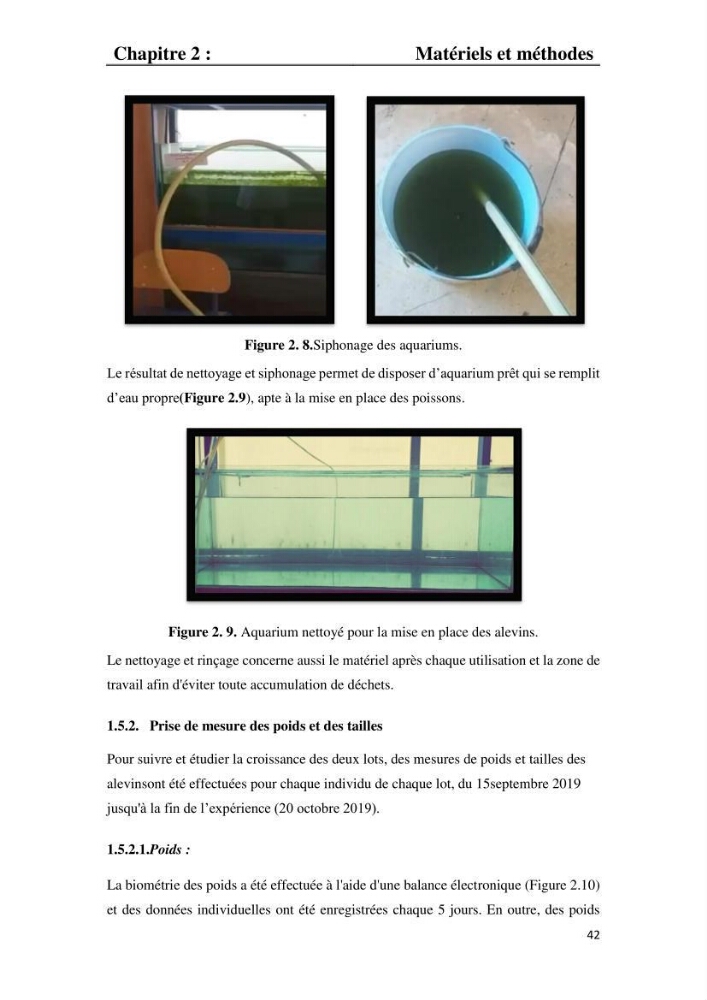 Etude comparative d\'un aliment commercial distribué en poudre et en granulé au cour de l\'élevage du tilapia du Nil ( tilapia nilotica)