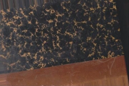 Bulletin de la société d'histoire naturelle de l'Afrique du nord tome 26