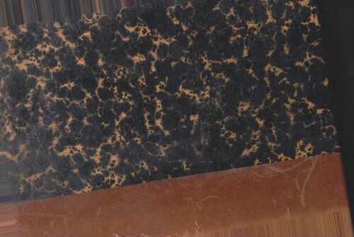 Bulletin de la société d'histoire naturelle de l'Afrique du nord tome 26 Bulletin de la société d'histoire naturelle de l'Afrique du nord tome 26