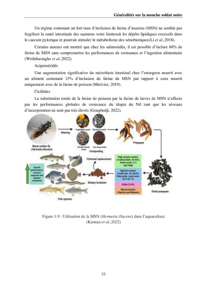 Incorporation de la farine d\'insecte (Hermetia illucences ) dans l\'alimentation des poissons