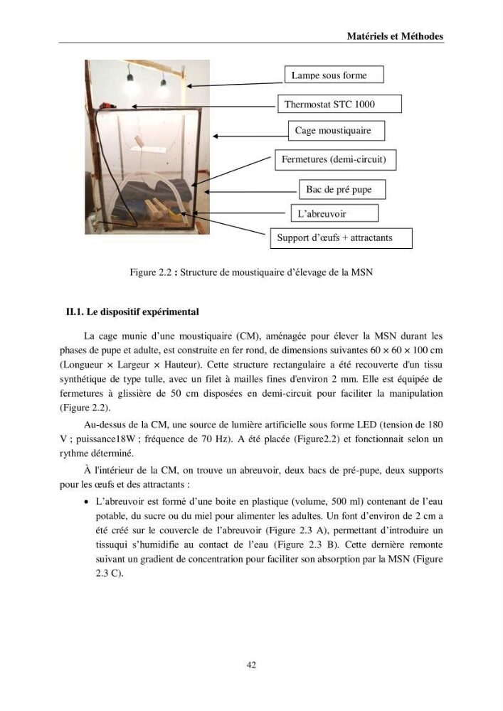 Incorporation de la farine d\'insecte (Hermetia illucences ) dans l\'alimentation des poissons