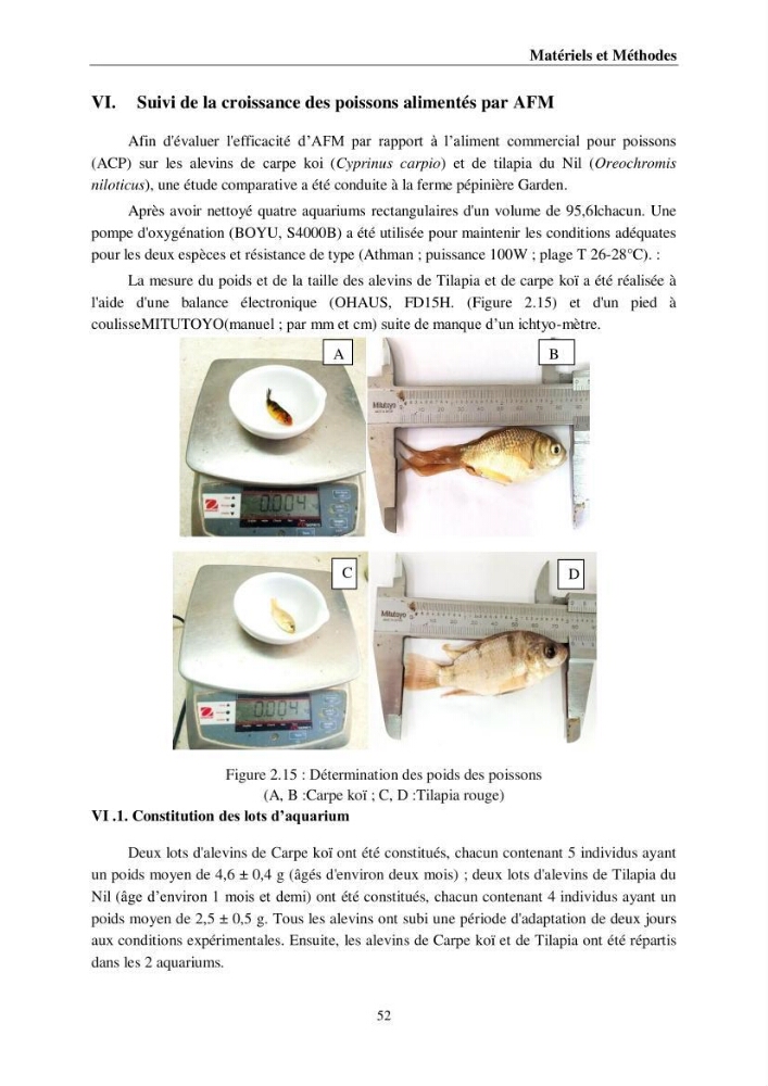 Incorporation de la farine d\'insecte (Hermetia illucences ) dans l\'alimentation des poissons