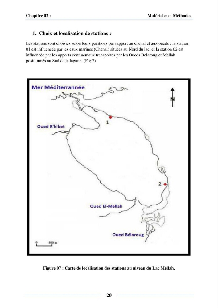 Dynamique des peuplements du Lac Mellah