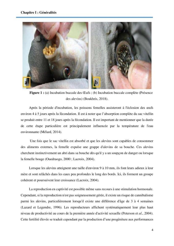 Caracterisation de la qualité du sperme chez les poissons