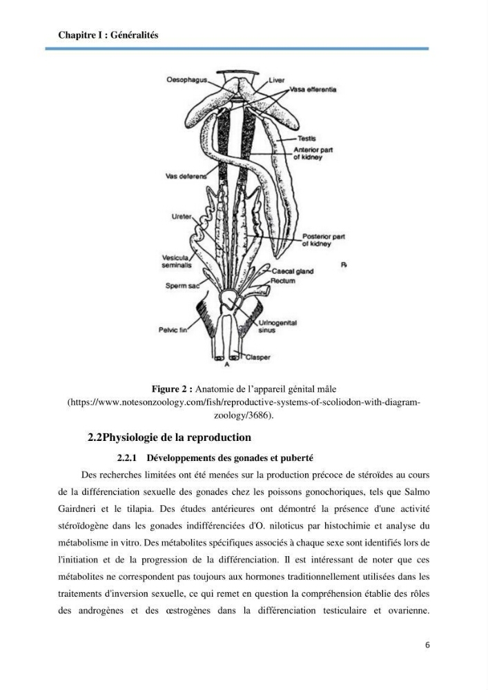 Caracterisation de la qualité du sperme chez les poissons