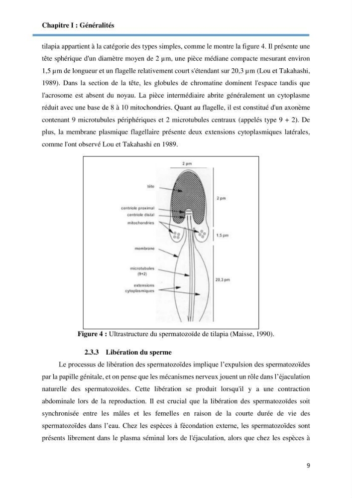 Caracterisation de la qualité du sperme chez les poissons