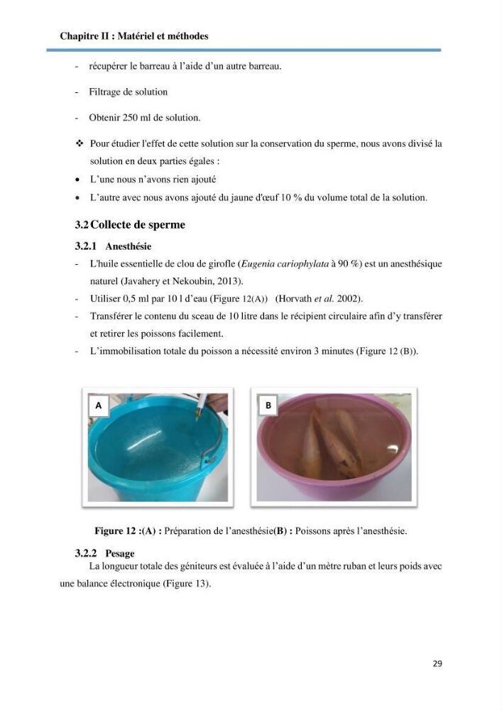Caracterisation de la qualité du sperme chez les poissons
