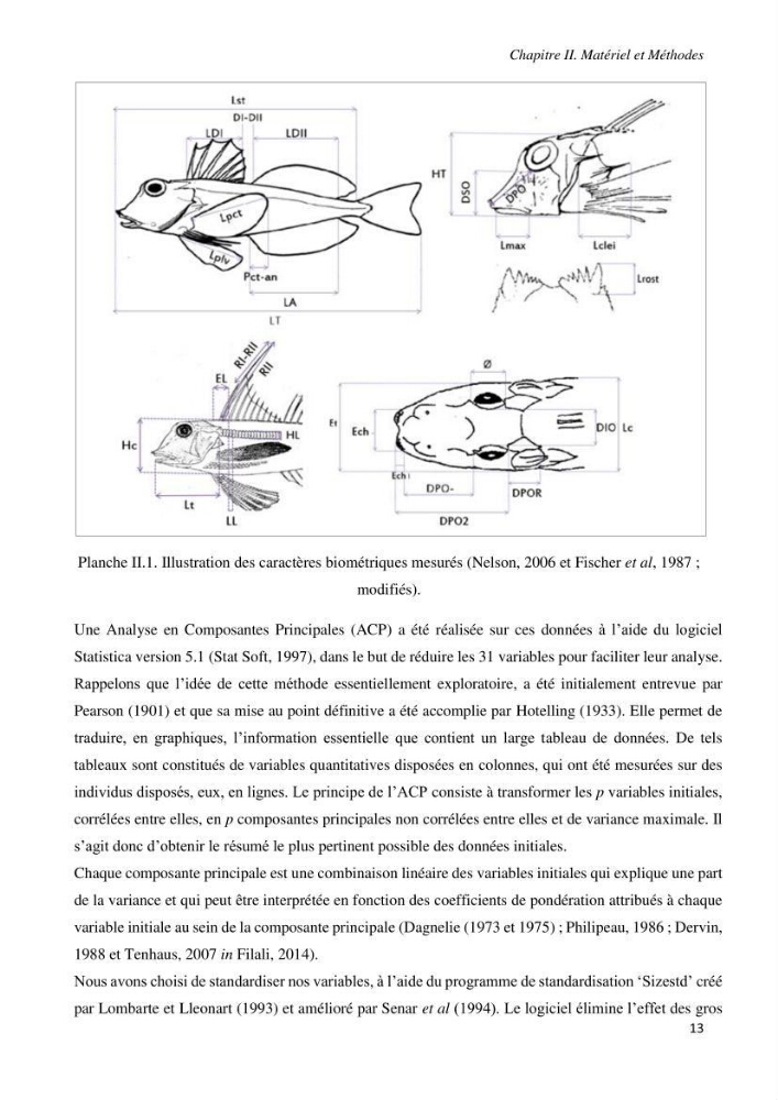 Contribution à l’étude de la systématique de la famille des Triglidae (Ostéichtyens, Actinoptérygiens) du bassin algérien