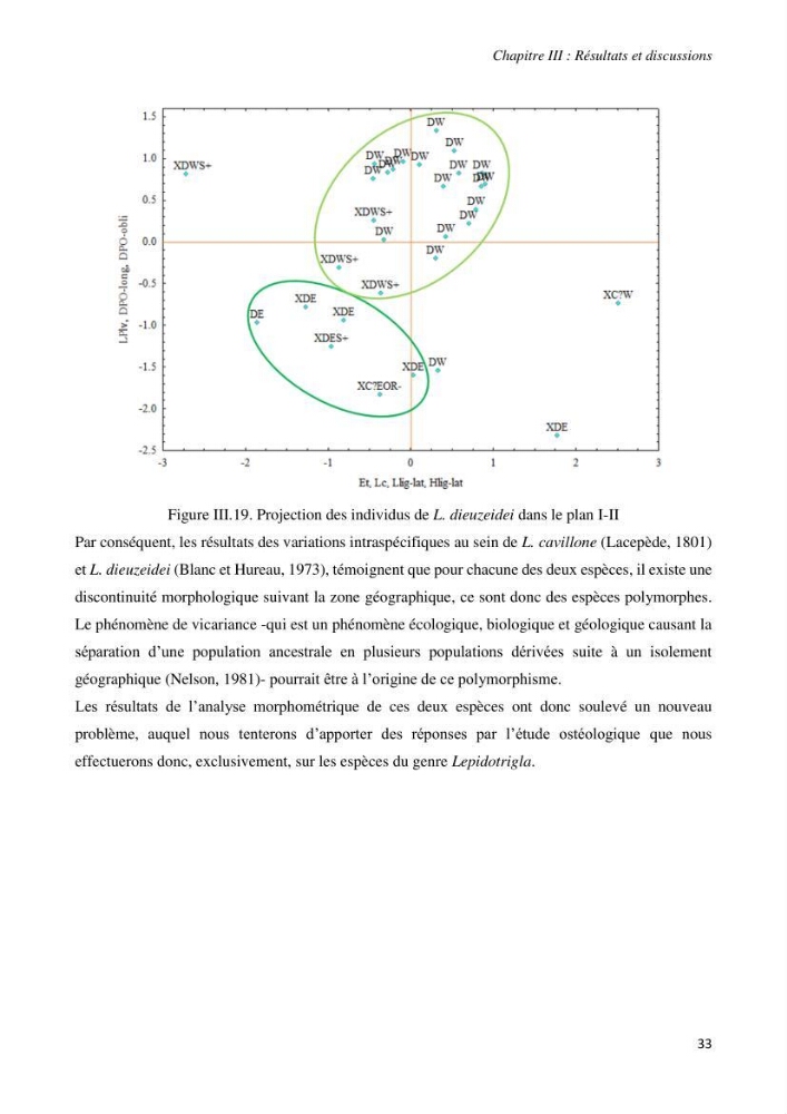 Contribution à l’étude de la systématique de la famille des Triglidae (Ostéichtyens, Actinoptérygiens) du bassin algérien