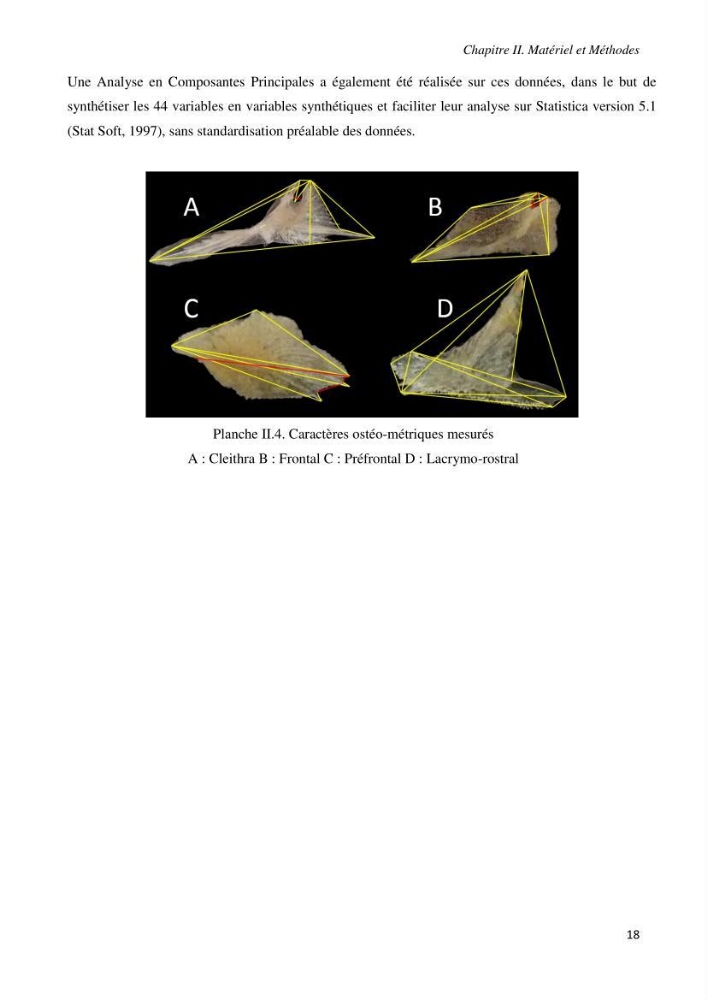Contribution à l’étude de la systématique de la famille des Triglidae (Ostéichtyens, Actinoptérygiens) du bassin algérien