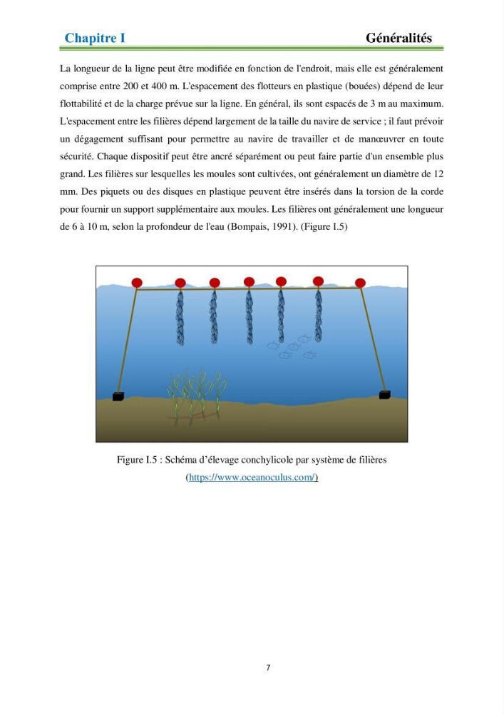 Identification des zones propices à héberger des filières conchylicoles par modélisation numérique et télédetection: