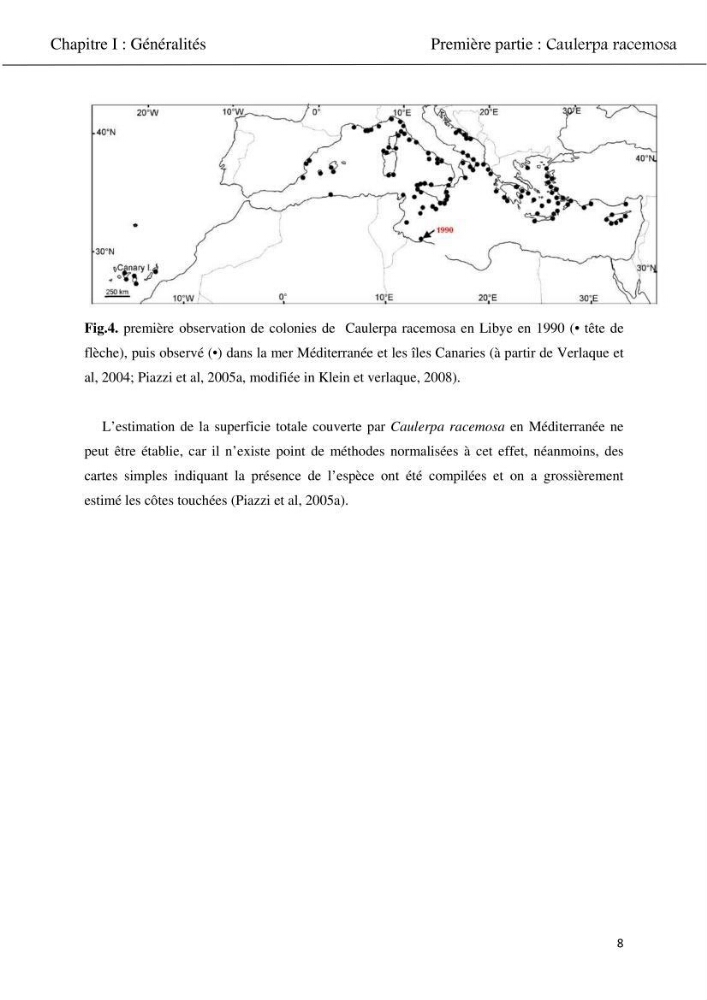 Etude d\'une chlorobionte caulerpale